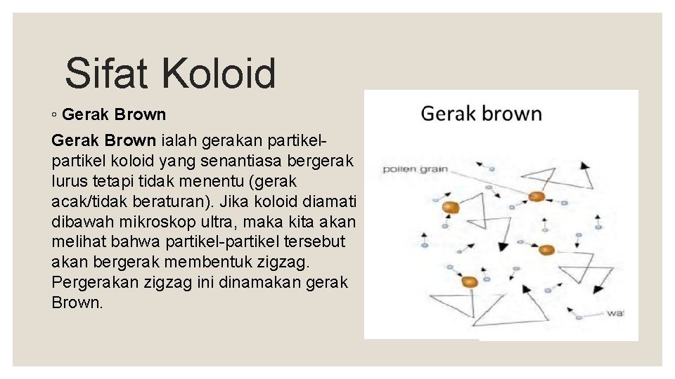 Sifat Koloid ◦ Gerak Brown ialah gerakan partikel koloid yang senantiasa bergerak lurus tetapi