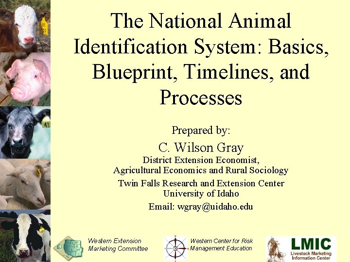 The National Animal Identification System: Basics, Blueprint, Timelines, and Processes Prepared by: C. Wilson