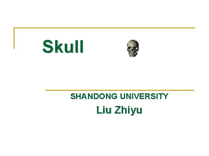 Skull SHANDONG UNIVERSITY Liu Zhiyu 
