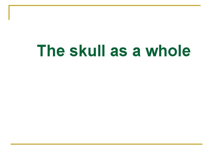 The skull as a whole 