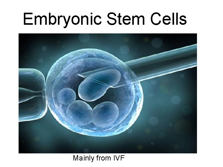 Embryonic Stem Cells Mainly from IVF 