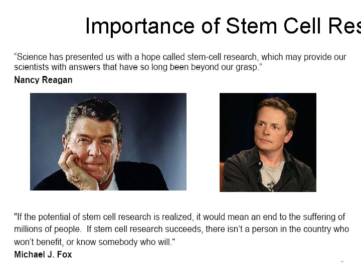 Importance of Stem Cell Res 