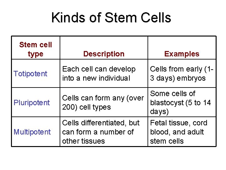 Kinds of Stem Cells Stem cell type Totipotent Pluripotent Multipotent Description Each cell can