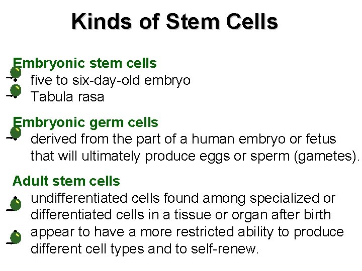 Kinds of Stem Cells Embryonic stem cells • five to six-day-old embryo • Tabula