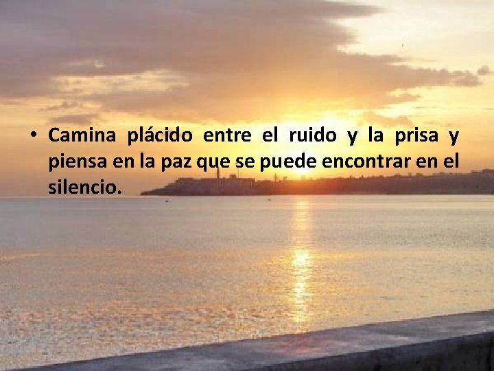  • Camina plácido entre el ruido y la prisa y piensa en la