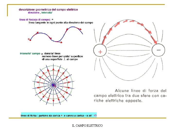 IL CAMPO ELETTRICO 