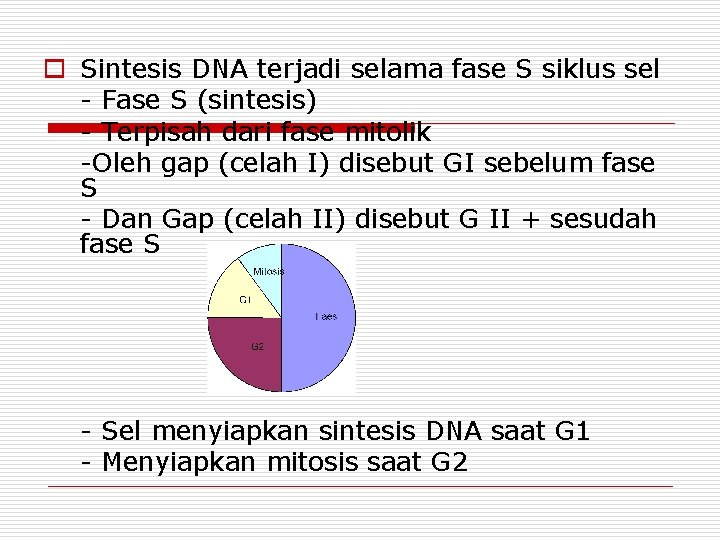 o Sintesis DNA terjadi selama fase S siklus sel - Fase S (sintesis) -
