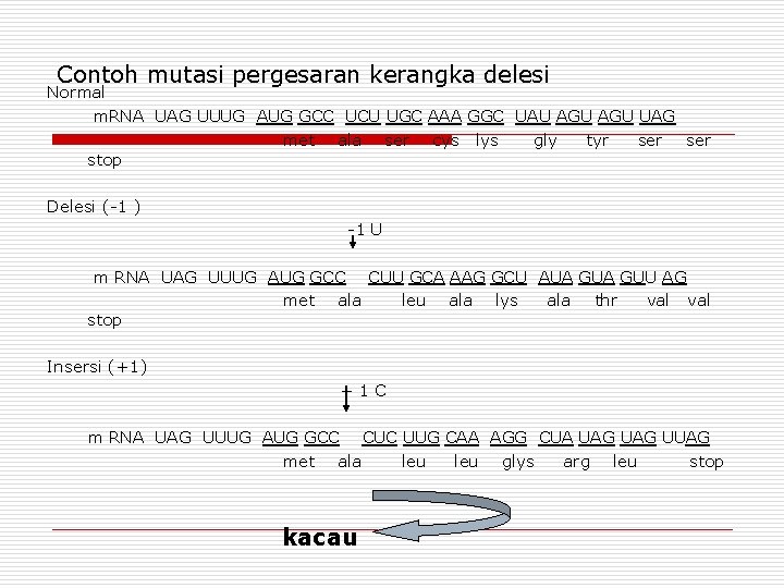 Contoh mutasi pergesaran kerangka delesi Normal m. RNA UAG UUUG AUG GCC UCU UGC