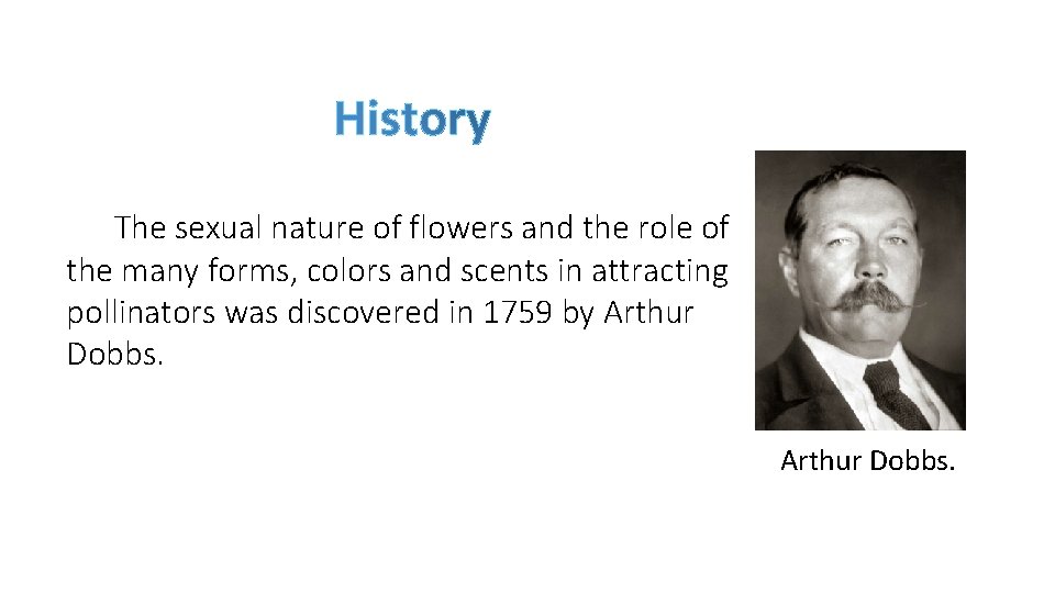 The sexual nature of flowers and the role of the many forms, colors and The sexual nature of flowers and the role of the many forms, colors and