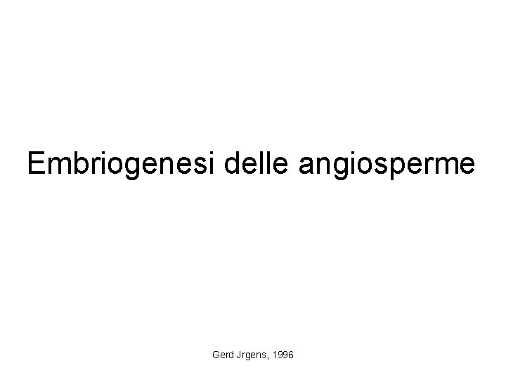 Embriogenesi delle angiosperme Gerd Jrgens, 1996 