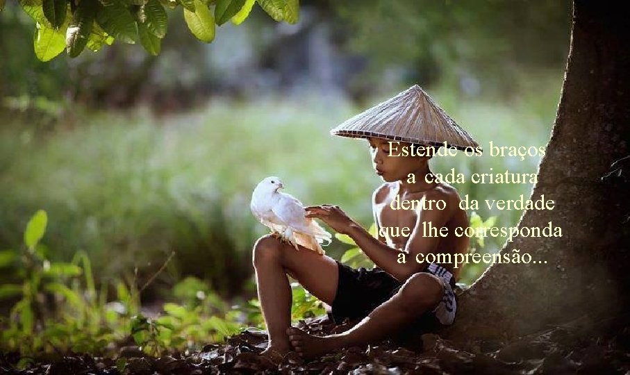 Estende os braços a cada criatura dentro da verdade que lhe corresponda à compreensão.