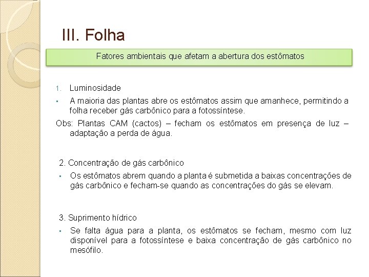 III. Folha Fatores ambientais que afetam a abertura dos estômatos 1. Luminosidade • A