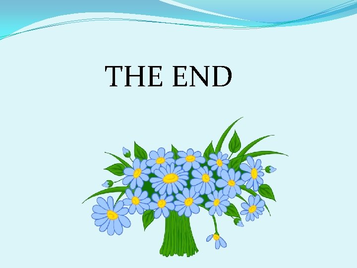 THE END 
