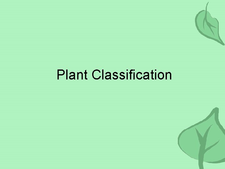 Plant Classification 