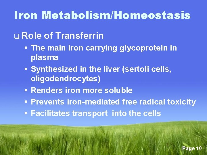 Iron Metabolism/Homeostasis q Role of Transferrin § The main iron carrying glycoprotein in plasma