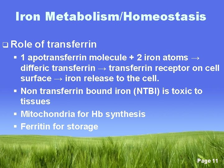 Iron Metabolism/Homeostasis q Role of transferrin § 1 apotransferrin molecule + 2 iron atoms