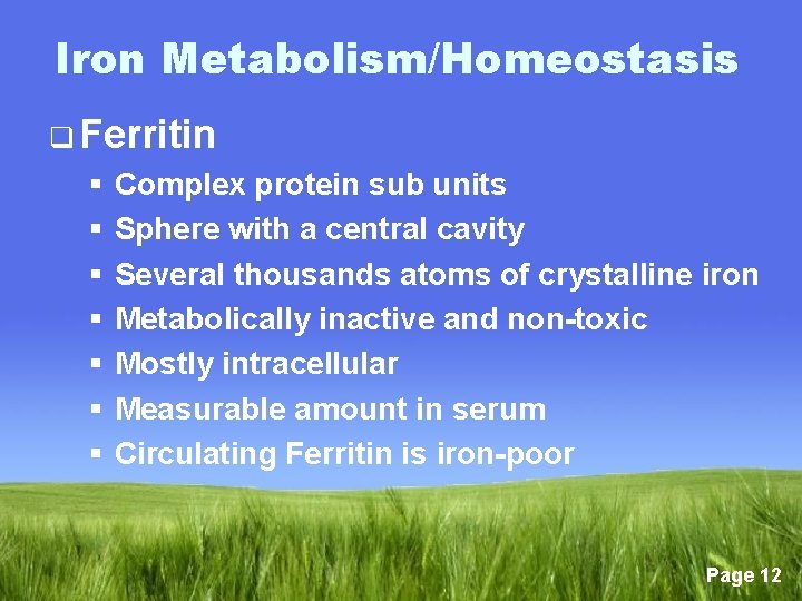 Iron Metabolism/Homeostasis q Ferritin § § § § Complex protein sub units Sphere with