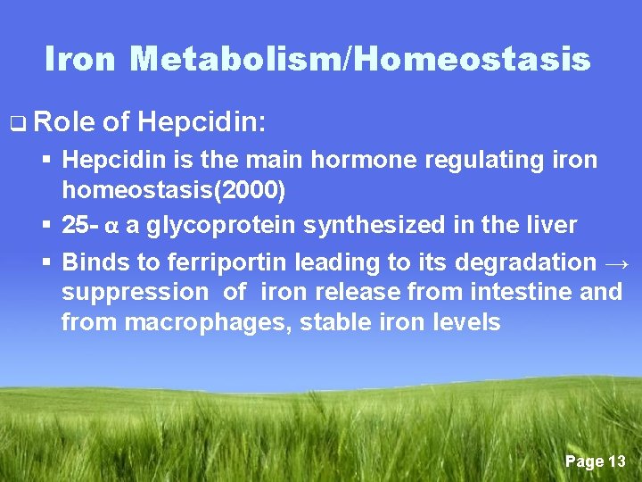 Iron Metabolism/Homeostasis q Role of Hepcidin: § Hepcidin is the main hormone regulating iron