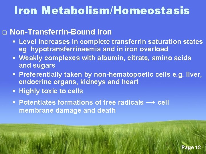 Iron Metabolism/Homeostasis q Non-Transferrin-Bound Iron § Level increases in complete transferrin saturation states eg