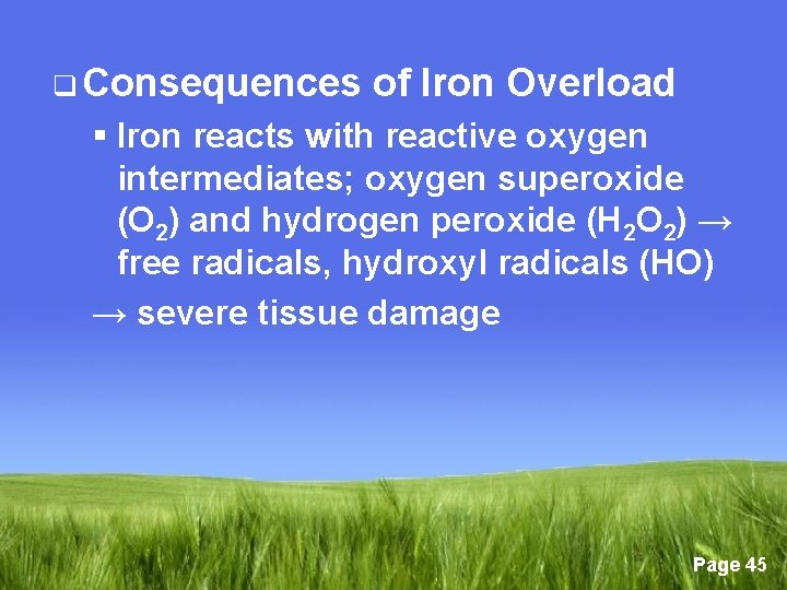 q Consequences of Iron Overload § Iron reacts with reactive oxygen intermediates; oxygen superoxide