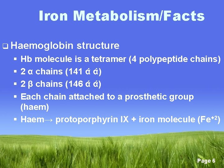 Iron Metabolism/Facts q Haemoglobin structure § § Hb molecule is a tetramer (4 polypeptide