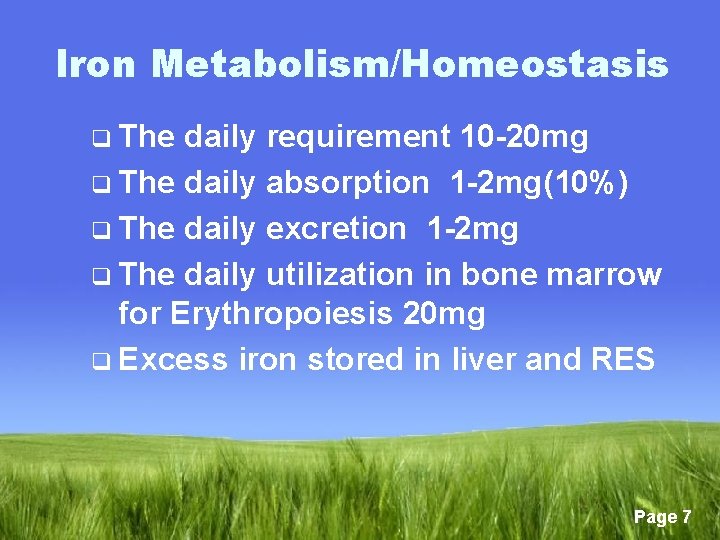 Iron Metabolism/Homeostasis q The daily requirement 10 -20 mg q The daily absorption 1