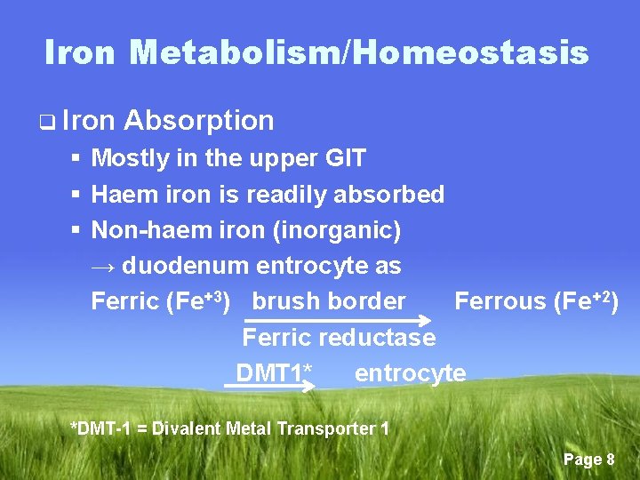 Iron Metabolism/Homeostasis q Iron Absorption § Mostly in the upper GIT § Haem iron