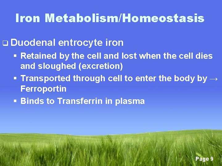 Iron Metabolism/Homeostasis q Duodenal entrocyte iron § Retained by the cell and lost when