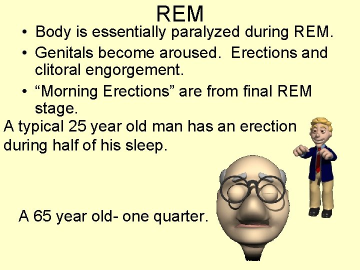REM • Body is essentially paralyzed during REM. • Genitals become aroused. Erections and