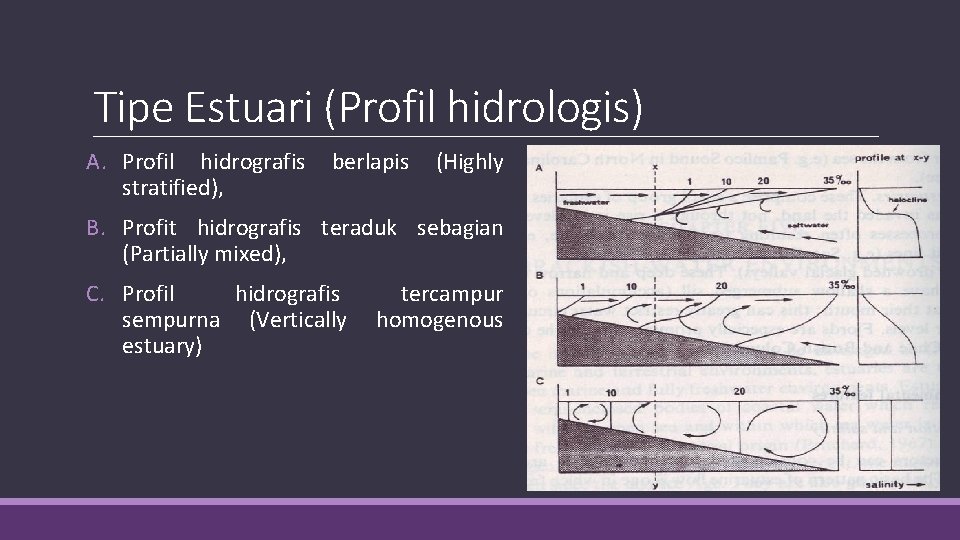 Tipe Estuari (Profil hidrologis) A. Profil hidrografis stratified), berlapis (Highly B. Profit hidrografis teraduk