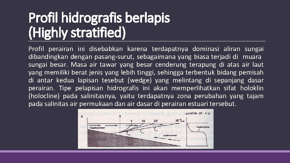 Profil hidrografis berlapis (Highly stratified) Profil perairan ini disebabkan karena terdapatnya dominasi aliran sungai