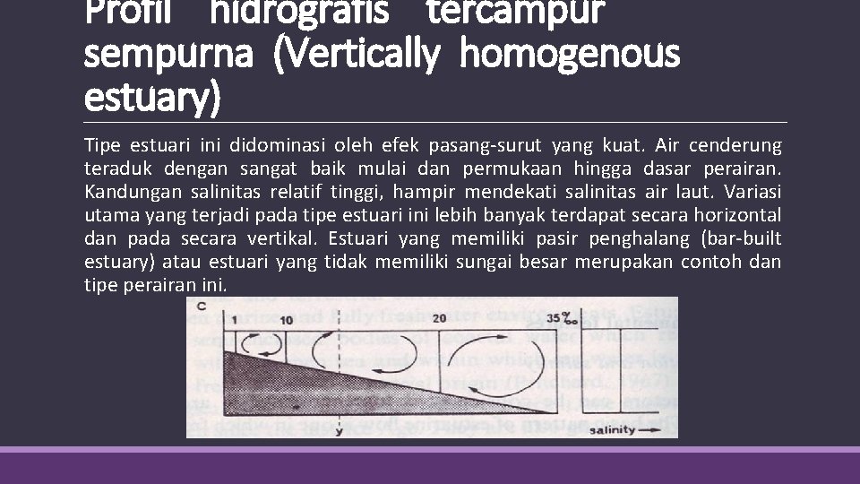 Profil hidrografis tercampur sempurna (Vertically homogenous estuary) Tipe estuari ini didominasi oleh efek pasang-surut