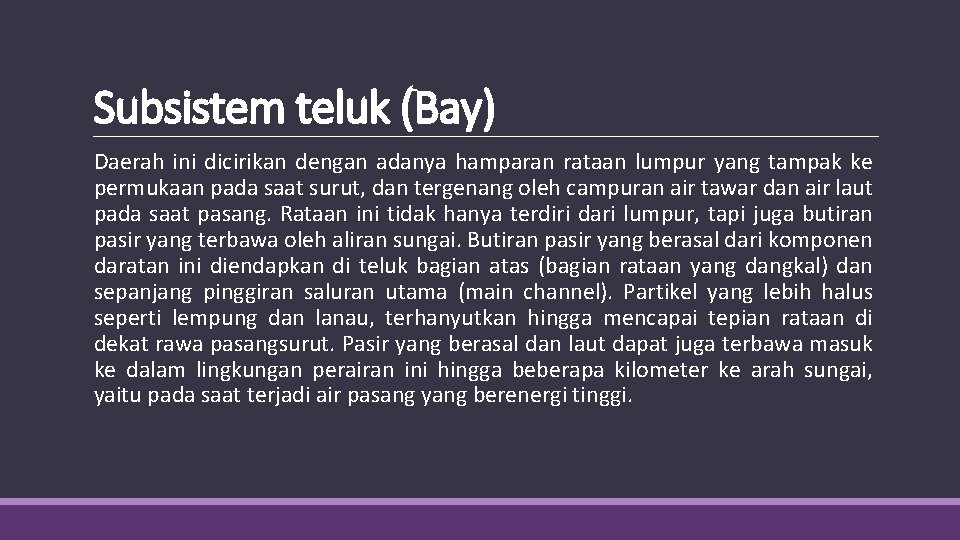 Subsistem teluk (Bay) Daerah ini dicirikan dengan adanya hamparan rataan lumpur yang tampak ke