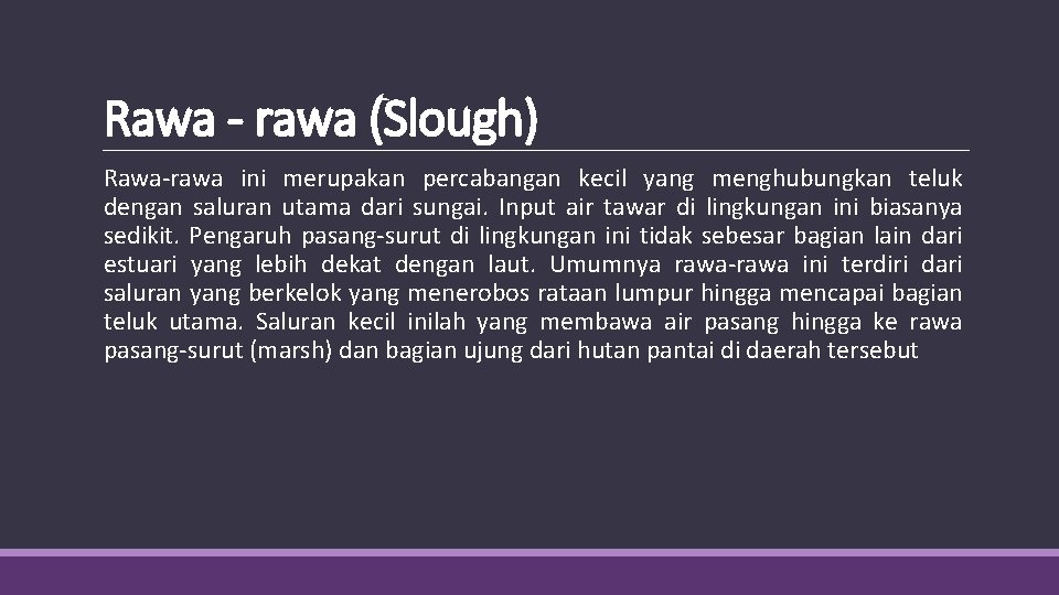Rawa - rawa (Slough) Rawa-rawa ini merupakan percabangan kecil yang menghubungkan teluk dengan saluran