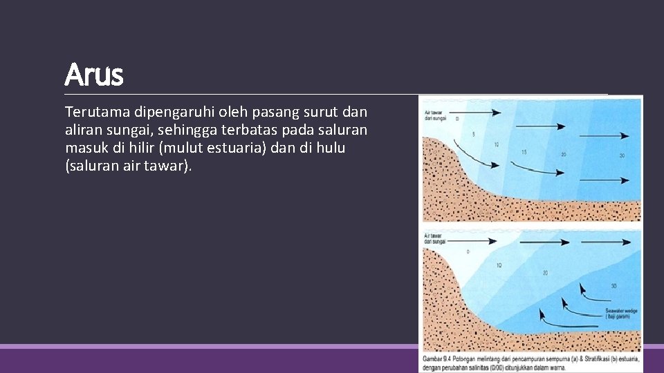 Arus Terutama dipengaruhi oleh pasang surut dan aliran sungai, sehingga terbatas pada saluran masuk