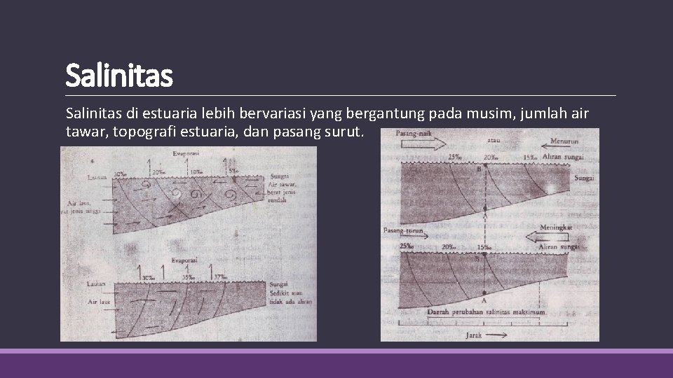 Salinitas di estuaria lebih bervariasi yang bergantung pada musim, jumlah air tawar, topografi estuaria,