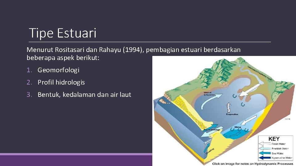 Tipe Estuari Menurut Rositasari dan Rahayu (1994), pembagian estuari berdasarkan beberapa aspek berikut: 1.