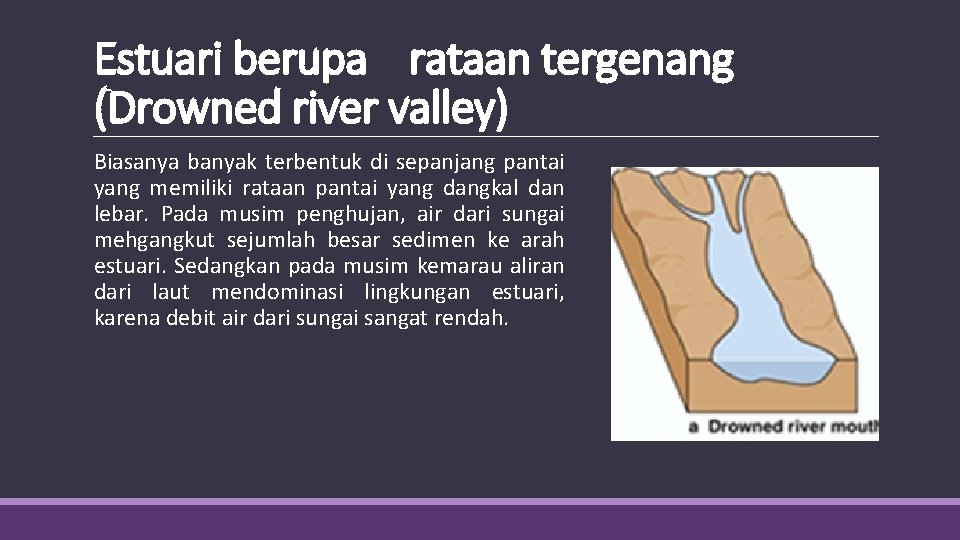 Estuari berupa rataan tergenang (Drowned river valley) Biasanya banyak terbentuk di sepanjang pantai yang
