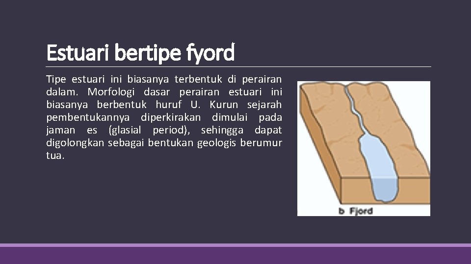 Estuari bertipe fyord Tipe estuari ini biasanya terbentuk di perairan dalam. Morfologi dasar perairan