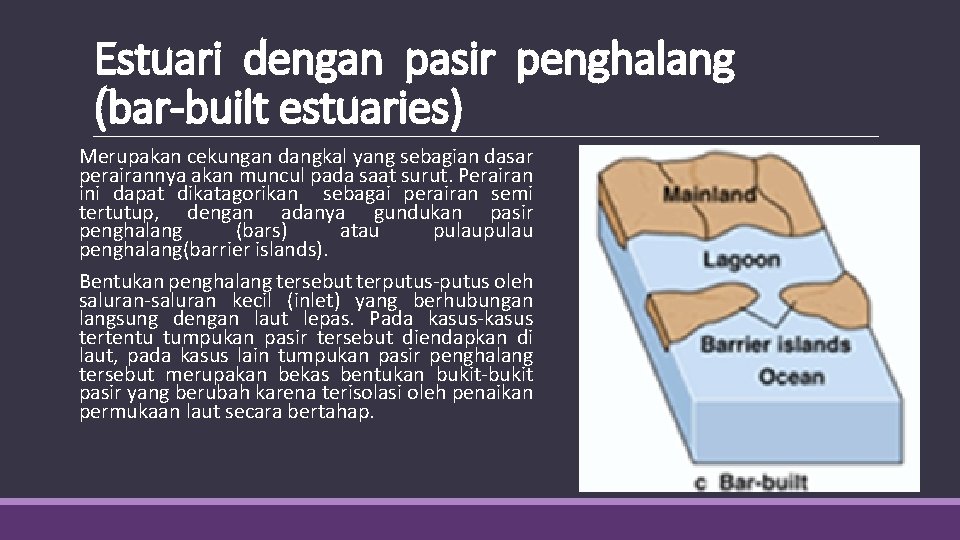 Estuari dengan pasir penghalang (bar-built estuaries) Merupakan cekungan dangkal yang sebagian dasar perairannya akan