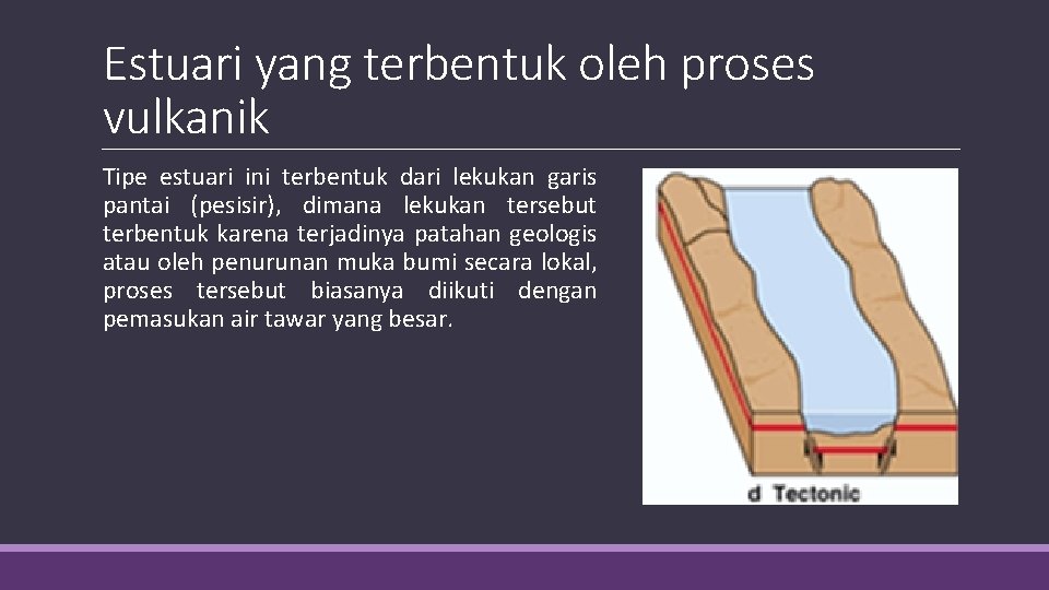 Estuari yang terbentuk oleh proses vulkanik Tipe estuari ini terbentuk dari lekukan garis pantai