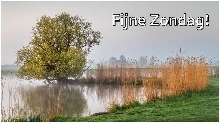 Fijne Zondag! 