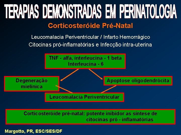 Corticosteróide Pré-Natal Leucomalacia Periventricular / Infarto Hemorrágico Citocinas pró-inflamatórias e Infecção intra-uterina TNF -