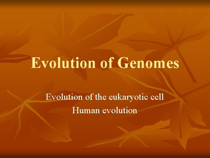 Evolution of Genomes Evolution of the eukaryotic cell Human evolution 