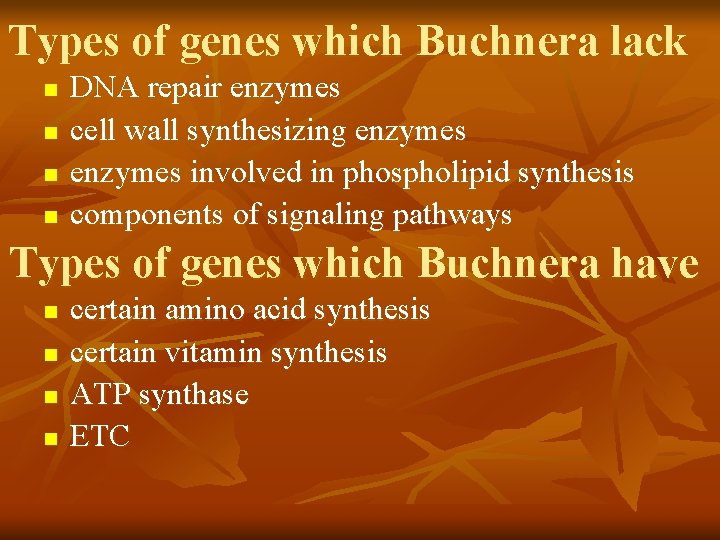 Types of genes which Buchnera lack n n DNA repair enzymes cell wall synthesizing