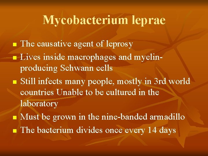 Mycobacterium leprae n n n The causative agent of leprosy Lives inside macrophages and