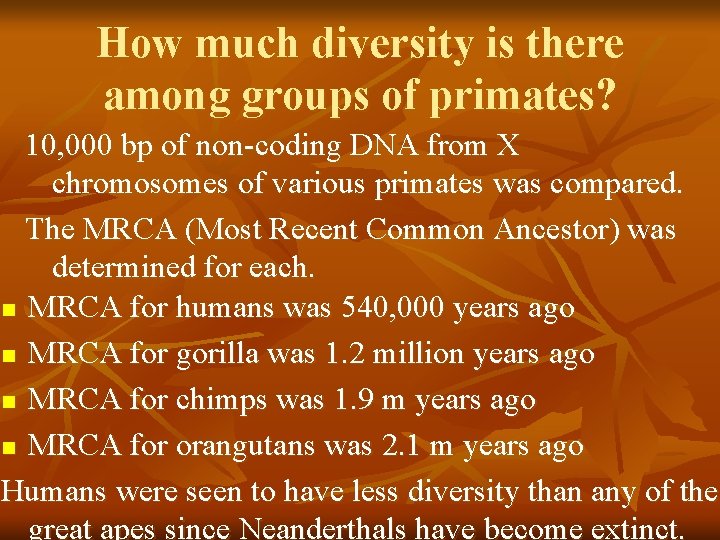 How much diversity is there among groups of primates? 10, 000 bp of non-coding