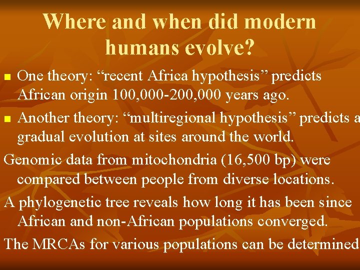 Where and when did modern humans evolve? One theory: “recent Africa hypothesis” predicts African