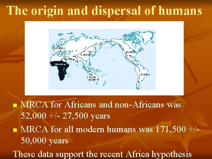 The origin and dispersal of humans MRCA for Africans and non-Africans was 52, 000