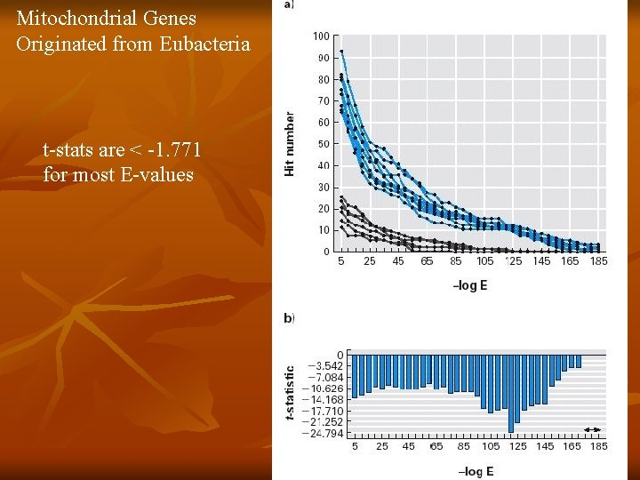 Mitochondrial Genes Originated from Eubacteria t-stats are < -1. 771 for most E-values 